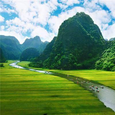 我叫MT奇幻之旅百度版下载
