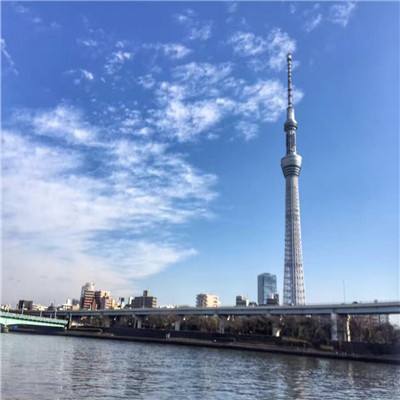 长生绘梦手游下载