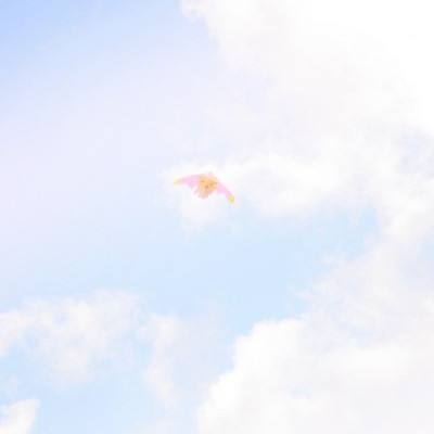 taptap战双帕弥什手游下载